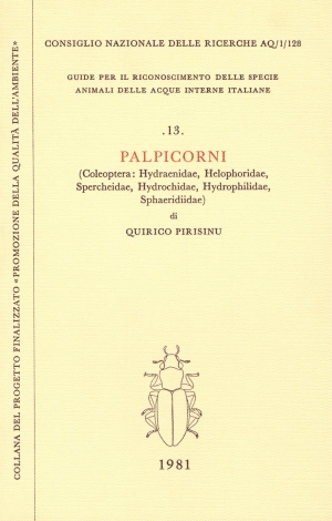 Riconoscimento Delle Identita Colturali Diverse Con Istituzione Di Download Scientific Diagram