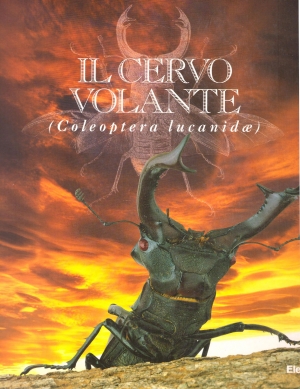 アート・デザイン・音楽 IL CERVo VOLANTE (Coleoptera lucanidae) IL CERVo VOLANTE (Coleoptera こごも lucanidae)