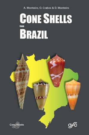 Cone Shells from Brazil « Books for Sale | Conchbooks