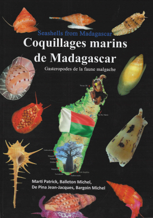 Seashells from Madagascar - Coquillages marins de Madagascar